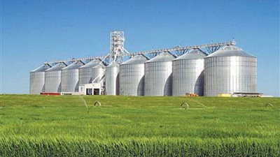 التموين: 22 مليار جنيه فاتورة استيراد القمح من الخارج.. الطن زاد 100 دولار