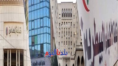 المحامين والبيطريين والمهندسين.. ماراثون الانتخابات يطرق أبواب النقابات المهنية