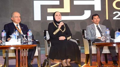 نيفين جامع: دفع عجلة التنمية الصناعية بصعيد مصر على رأس أولويات خطة عمل الوزارة