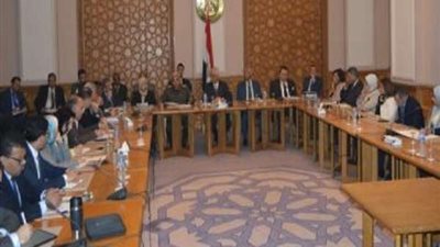 لجنة متابعة العلاقات المصرية الأفريقية تعقد أول اجتماعاتها بالعام الجديد