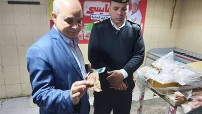 إعدام 350 كيلو لحوم فاسدة في حملة مكبرة بشبرا الخيمة