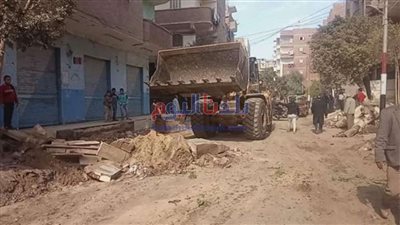 جمع 140 طن قمامة من شوارع مدينة المنصورة.. تفاصيل