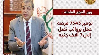 وزير القوى العاملة: توفير 7343 فرصة عمل برواتب تصل إلى 7 آلاف جنيه