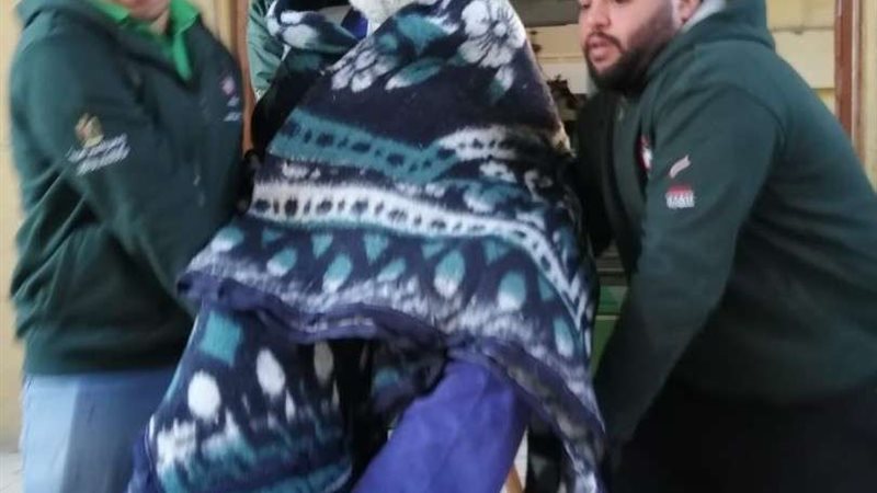 بلدنا اليوم
