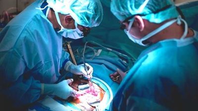 بعد ضبط شبكة لتجارة الأعضاء.. تعرف على العقوبات المنتظرة