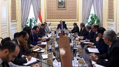 تشكيل مجلس أعلى للصيدلة والدواء بالمنوفية