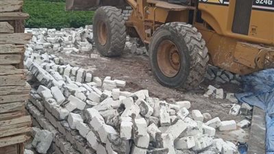 إزالة 15 تعدى ضمن المرحلة الثانية من الموجه 19 لإزالة التعديات بالبحيرة