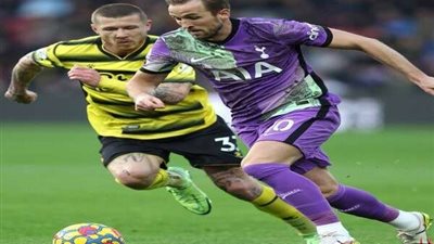 تشكيل توتنهام المتوقع أمام إيفرتون في الدوري الإنجليزي