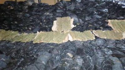 البحر الأحمر يدفع بـ جوالين بانجو في ظروف غامضة بالغردقة