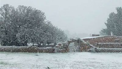 الأرصاد: منخفض جوي يضرب البلاد يوم الثلاثاء المقبل