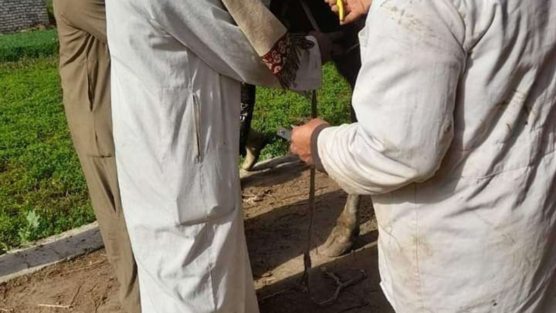 بلدنا اليوم