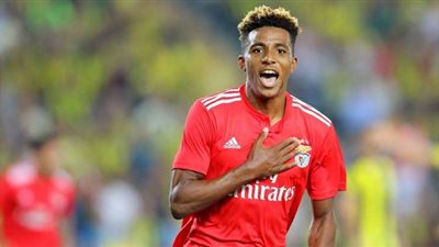 البرتغالي فيرنانديز أول صفقات مورينيو مع توتنهام الإنجليزي