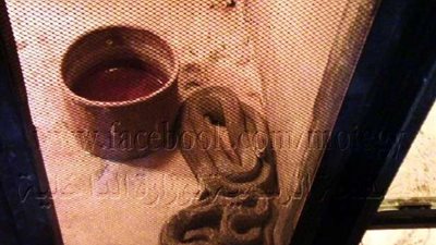 ضبط مزرعة تحوي حيوانات وطيور نادرة ومهددة بالانقراض بدون تصريح