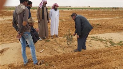 الممارسات الزراعية وقت سقوط الأمطار ندوة بمركز رأس الحكمة