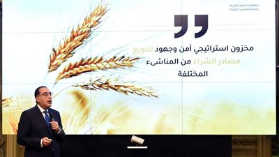 مدبولي: ننسق مع الغرف التجارية لضمان وتأمين السلع الغذائية بأسعار عادلة وتجنب أي نوع من المغالاة