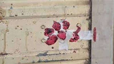 حي شرق بالإسكندرية يعلن: غلق 7 منشآت وتحرير 73 محضر مخالفة