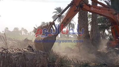 محافظ بني سويف: إزالة 346 حالة تعد على الأراضي ضمن الموجة الـ19