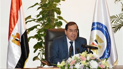 وزير الطاقة الإسرائيلي: لم نقم ببناء محطات طاقة ووجدنا الفرصة فى مصر