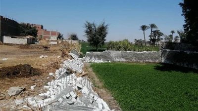 زراعة  المنوفية: تحرير 1314 محضر تبوير وإزالة فورية لـ 93 حالة تعدى بنطاق المحافظة