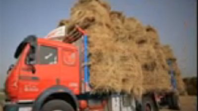 شاب مصرى يجمع ٧ آلاف طن من قش الأرز سنويًا ويحولها إلي ذهب