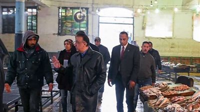 محافظ الإسكندرية يقوم بجولة مفاجئة في 