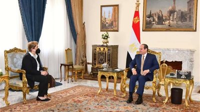 الرئيس السيسي يؤكد تقدير مصر للتعاون مع الأمم  المتحدة بشان مؤتمر تغير المناخ