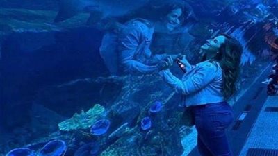 بالصور.. شيري عادل تداعب أسماك القرش في دبي