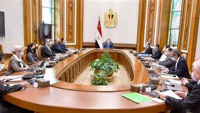 السيسى يوجه بمنح حافز توريد إضافي لسعر أردب القمح المحلي