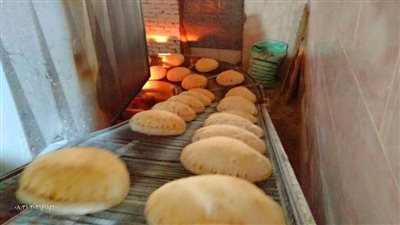 رئيس شعبة المخابز: 