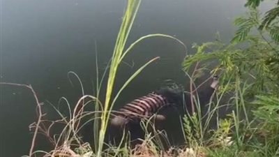 العثور على جثة مسن في ظروف غامضة بمياه ترعة الإسماعيلية