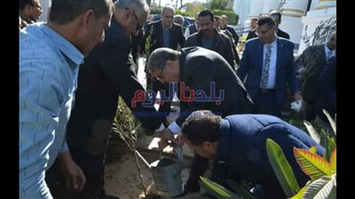 محافظ المنيا يغرس شجرة ضمن مبادرة 