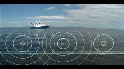 أستاذ علوم: الموجات تحت الصوتية الموجهة تسبب انعدام الرؤية وتدمير خلايا المخ