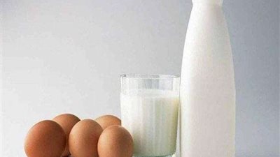 شعبة الدواجن: البيض انخفض 5 جنيهات.. والفراخ بـ 33 جنيها في المزارع .. فيديو