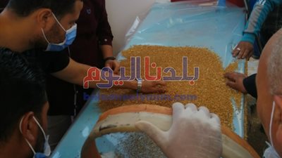 خبير اقتصادي مصر لديها قمح يكفي لـ 5 أشهر ونواجه استغلال التجار