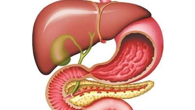 من أكثر الأمراض انتشارا.. أعراض التهاب البنكرياس