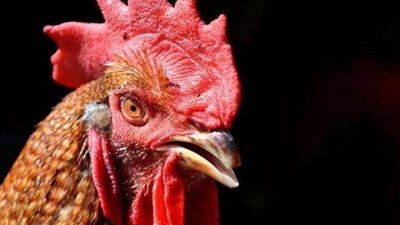 وفاة مواطن بعد تعرضة لضربة قوية من 