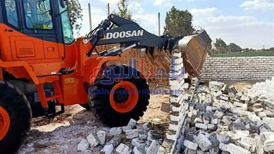 إزالة 312 حالة إشغال ورفع 80 طن قمامة بمركزي الواسطى واهناسيا في بني سويف
