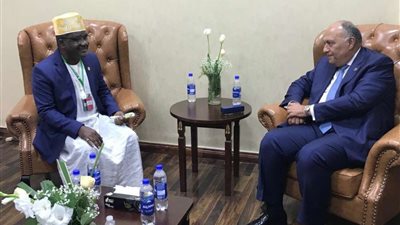 شكري يبحث مع نظيره من جزر القمر القضايا الإقليمية المشتركة