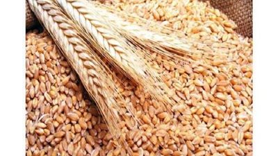 بديلا للأدوية.. 20 فائدة صحية لـ