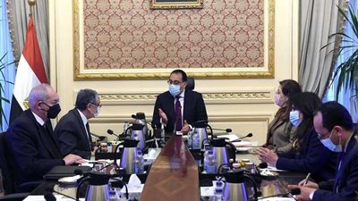 رئيس الوزراء يناقش عروض إقامة مشروعات الهيدروجين الأخضر في مصر