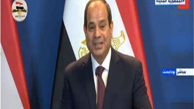 الرئيس السيسي: لدينا القدرة على تخزين 5.5 مليون طن قمح