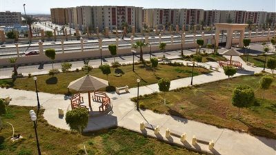 وفد الأهلي و