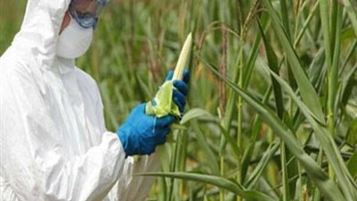 شركة ألمانية ترصد 10 مليارات دولار لتسوية تعويضات ضحايا مبيد الحشائس