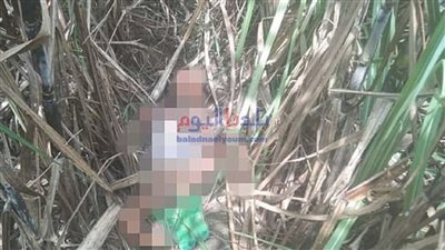 تحريات مكثفة لضبط المتهم بطعن طفل بالجيزة