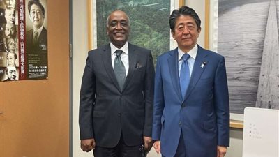 سفير مصر في طوكيو يلتقي 