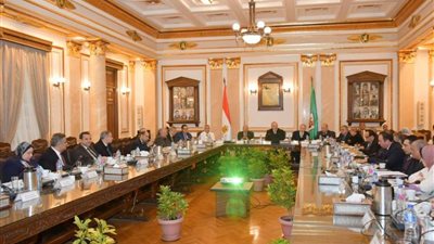 جامعة القاهرة تبدأ في إعداد كتاب حول 