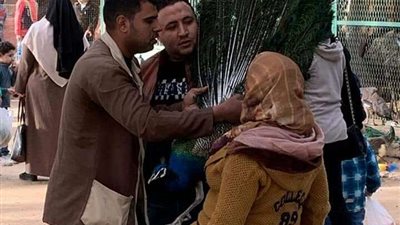 بحديقة حيوان الإسكندرية.. النعامة للركوب والطاووس يُعامل كمروحة! 