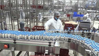 حفاظا على صحة المواطنين.. حكم نهائي بغلق مصنع ألبان وجبنة بسبب العناكب والحشرات فى البحيرة