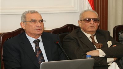 رفعت قمصان من حزب الوفد: مصر تحملت ثورتين ويجب أن تتبوأ مكانتها في العالم