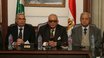 بهاء أبو شقة: مصر تسير على الطريق الصحيح بضمانات انتخابية غير مسبوقة